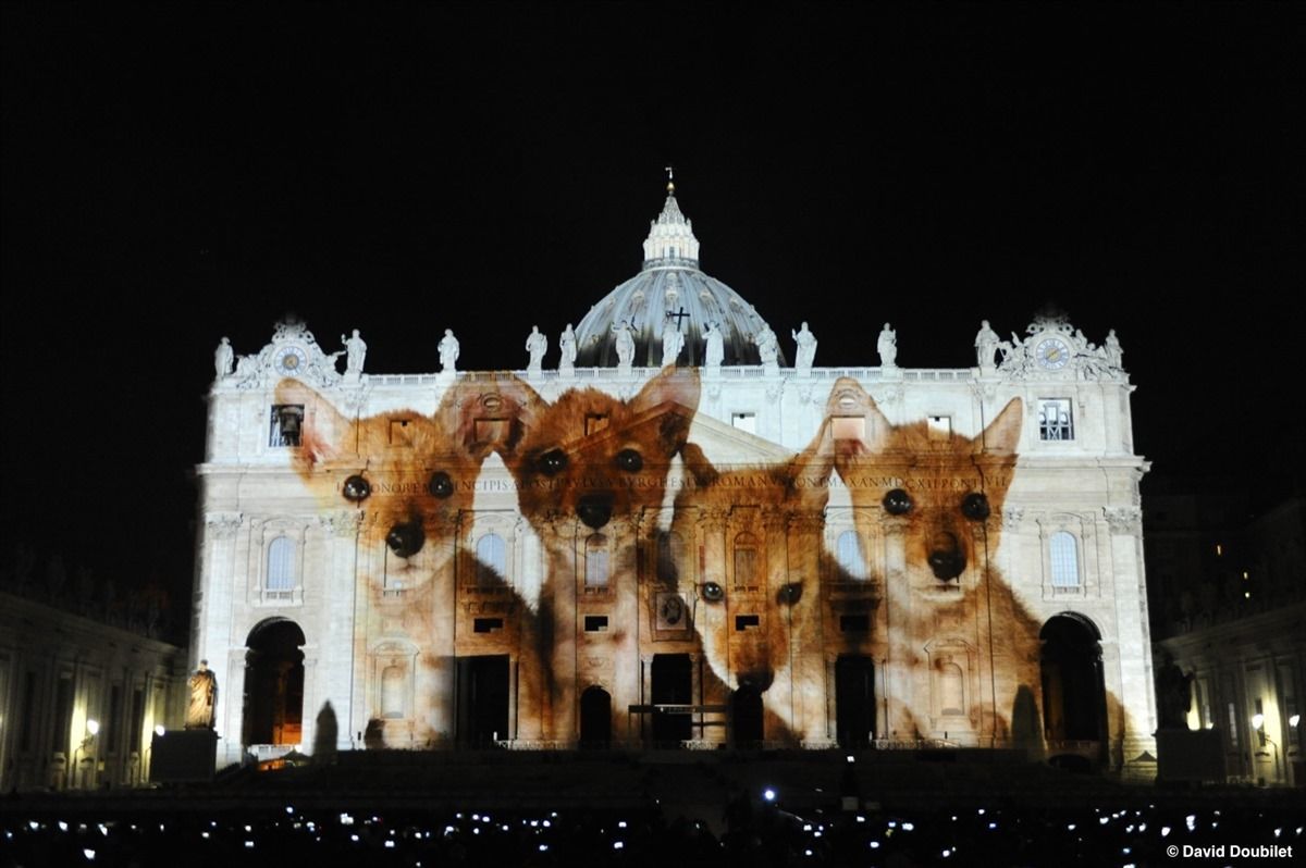 Fiat Lux show